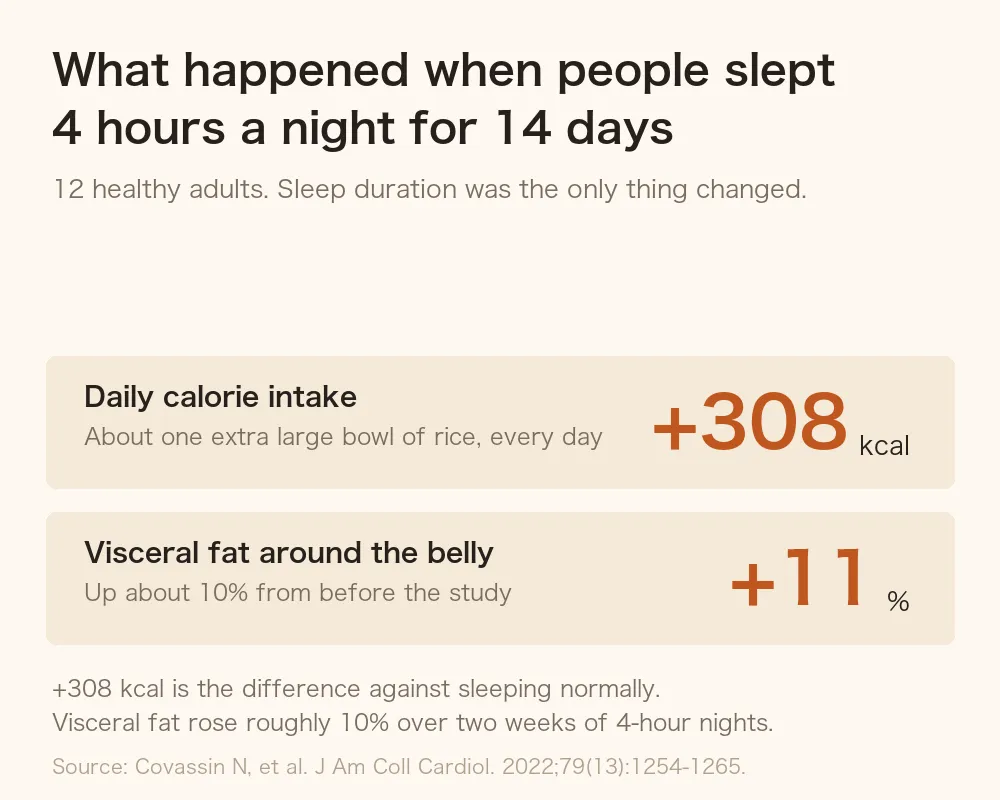 Diagram showing that 14 days of 4-hour sleep increased daily calorie intake by 308 kcal and increased abdominal visceral fat by about 10 percent